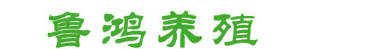上海盈凱冷柜