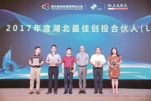 投資改革增引力，資本匯聚強產業——投資控股的發展新路徑